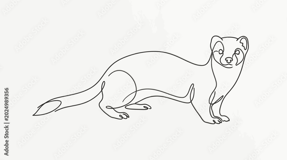 Fototapeta premium Minimalist Line Art Illustration of a Weasel Standing on a White Background