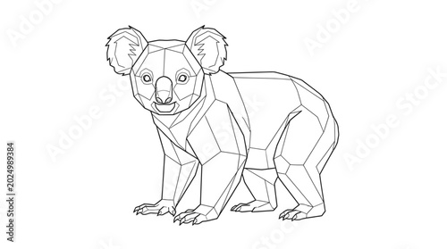 Photography Geometric Koala Outline Illustration, Minimalist Line Art Drawing
