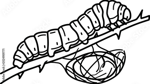 Obraz na plátně Silkworm caterpillar on branch with cocoon, line art illustration