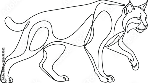 Photography Continuous Line Art of a Walking Lynx - Minimalist Wild Cat Illustration