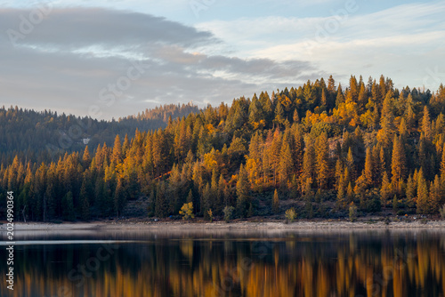 Sunlit pine forest reflecting on a calm alpine lake during golden hour