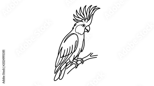 Foto Line Art Cockatoo Parrot Sitting on a Branch, Vector Illustration