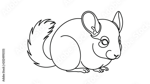 Foto Cute Chinchilla Outline Drawing, Vector Illustration