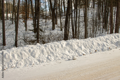 Schilderij op canvas A plowed snowbank by the road in the winter forest