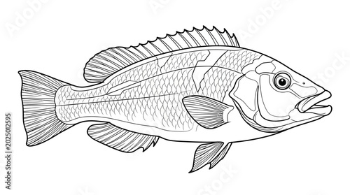 Valokuva Black and White Line Art Illustration of a Fish
