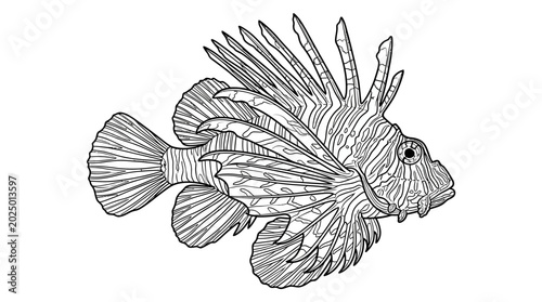 Tableau sur toile Detailed Line Drawing of a Lionfish, Underwater Marine Life Illustration