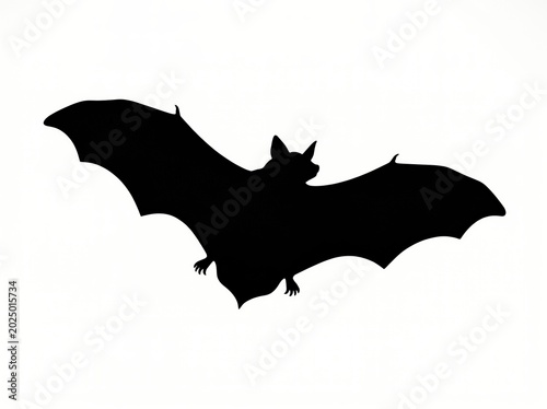 Fotografie Black bat silhouette flying