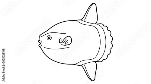 Bild auf Leinwand Ocean Sunfish Illustration - Simple Line Drawing of Mola mola