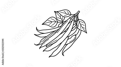 Schilderij op canvas Green Bean Pods with Leaves - Hand-Drawn Outline Illustration
