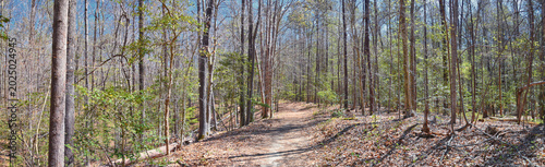 Fotografija Pocahontas State Park spring forest hiking trail views, Richmond, Virginia, United States