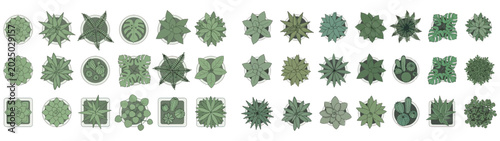 Plant Top View Indoor Potted Plants Botanical Vector Set