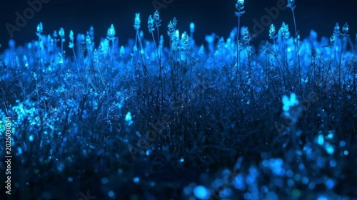 fantasy Surreal Bioluminescent grass and flowers glowing in purple, blue, and golden light