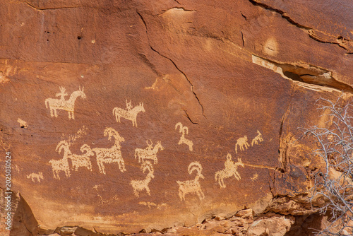Tableau sur toile Ancient rock art depicts a herd of animals on a red cliff.