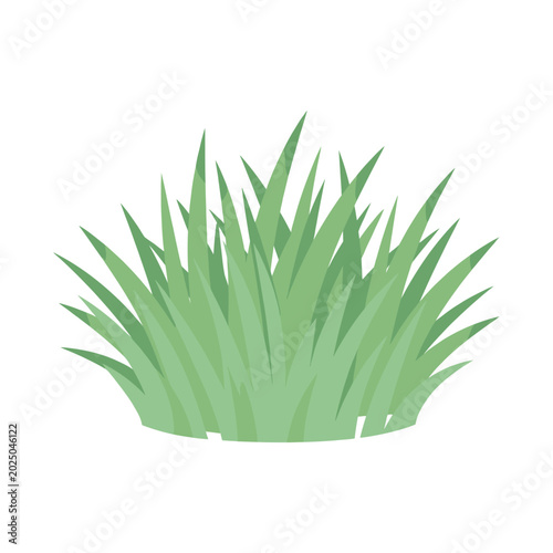 Tableau sur toile Detailed Green Grass Tuft Graphic Element for Nature and Environmental Design Pr
