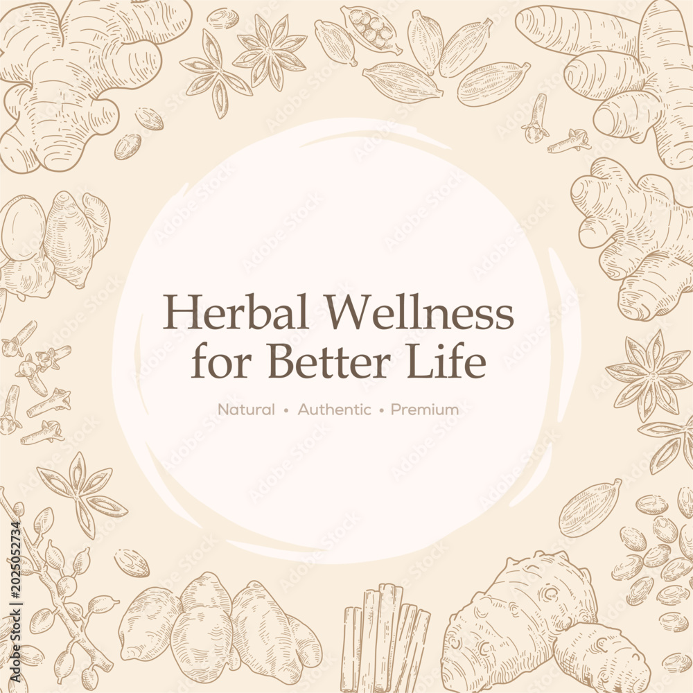 Obraz premium Herbal Wellness Botanical Frame with Copy Space Background. Aromatic Spices hand drawn vector designs. Vintage style vector graphic with separated layers.