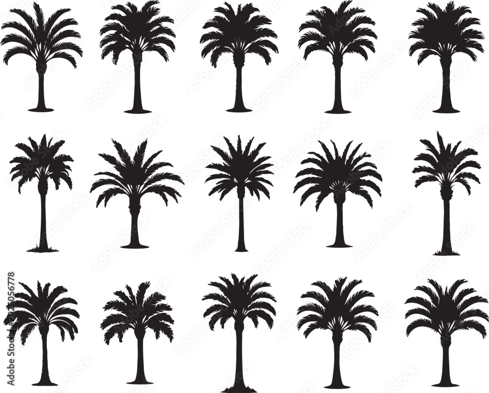 Fototapeta premium Sago Palm Tree Silhouettes Set in Bold Black Vector Style for Tropical Landscape, Garden Design, Nature Branding, Exotic Plant Illustration and Minimalist Decoration