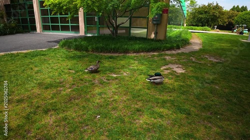 The camera moves slowly along well-manicured pathways, amidst contemporary art installations.