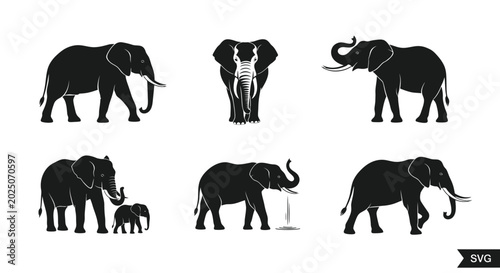 Foto African Elephant Silhouettes Collection - Various Poses