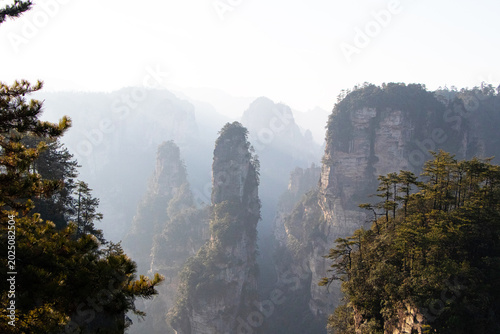 Foto Landscape natural rock, cliff quartz sandstone pillar green tree