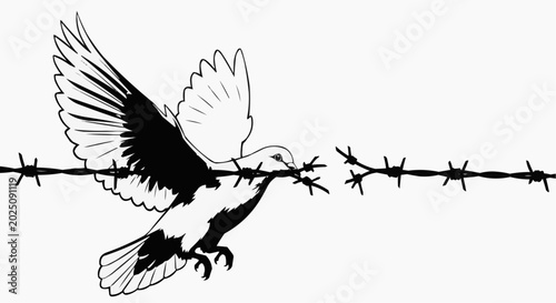 A dove breaking through barbed wire, symbolizing freedom and peace. The dove is a white bird with its wings spread wide, in mid-flight, clutching a twig in its beak.