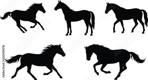 Fényképezés Black Horse Silhouettes Collection with Running Walking and Standing Equine Figu