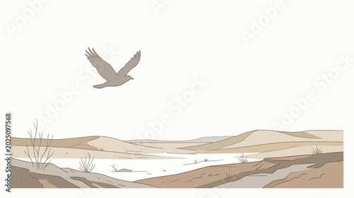 Canvastavla Hawk soaring over arid desert landscape