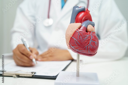 Foto Cardiovascular disease CVD, doctor with heart human model anatomy for treatment patient in hospital