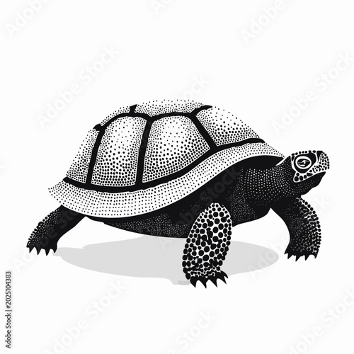Detailed black and white illustration of a tortoise walking with its shell intricately patterned and textured