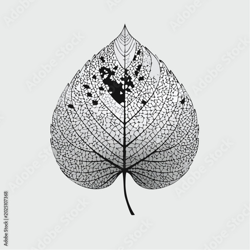 Intricate skeleton of a decaying leaf with visible veins and damaged areas against a neutral background