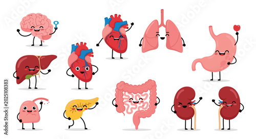 Adorable human organ characters with friendly faces and poses including the brain and heart for health education.