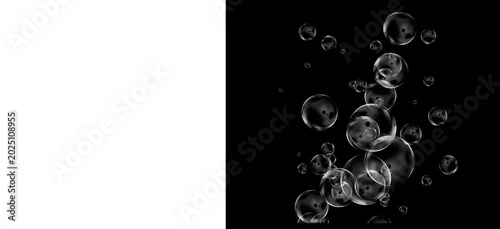 Fotografija Transparent soap bubbles on black background, floating water spheres with realis