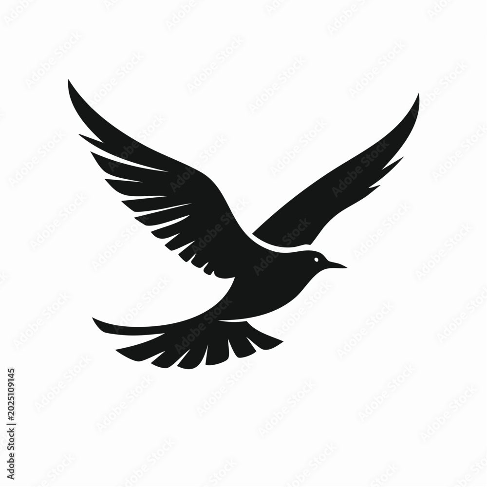 Fototapeta premium Silhouette of a black bird in flight with wings spread wide against a clean white background