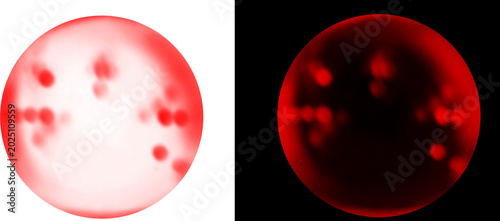 Foto Microscopic red blood cells in petri dish, laboratory medical research on viral