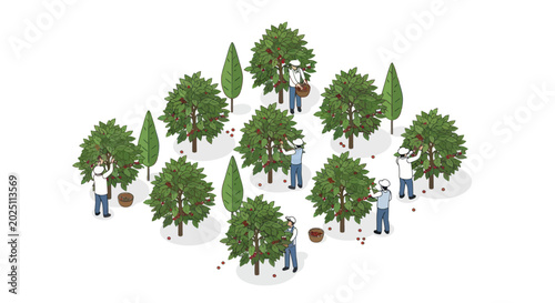 Photos Adobe Illustrator Artwork