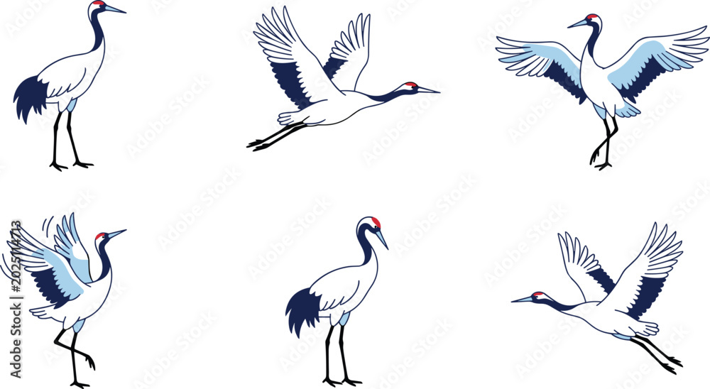 Naklejka premium Vector Illustration of Elegant Cranes in Various Poses Including Flying, Standing, and Spreading Wings.