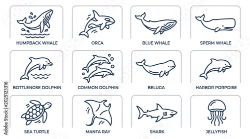 Fotografie Marine Life Icons: Whales, Dolphins, Turtles, Sharks, Jellyfish & More