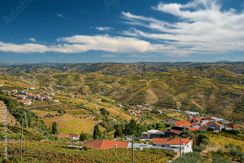 view of the douro valley in portugal