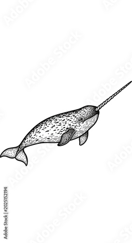 Isolated Narwhal Whale Illu...