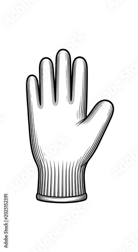 Isolated Open Glove Hand Vi...