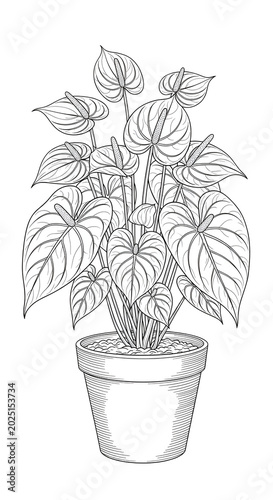 Isolated Potted Plant Line ...