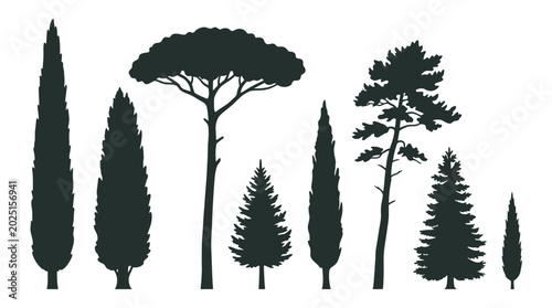 Schilderij op canvas Collection of various tree silhouettes against a white background silhouette
