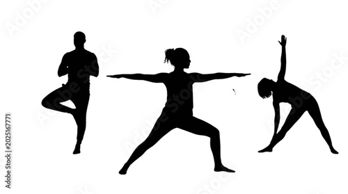 Tableau sur toile Black silhouette yoga poses isolated on transparent background, Vector
