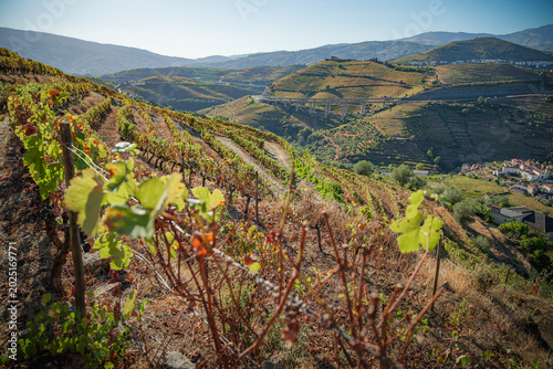 view of the douro valley
