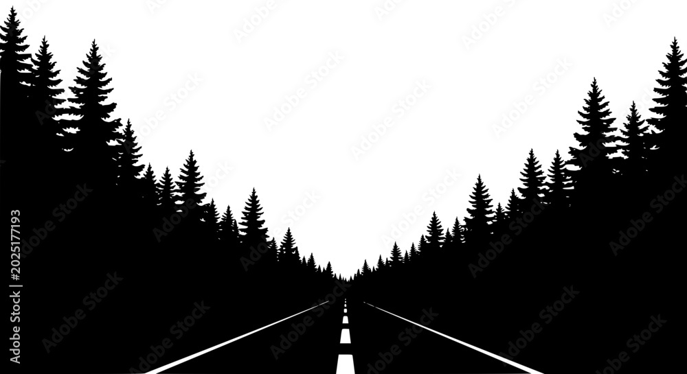 Fototapeta premium Black and White Silhouette of a Road Disappearing into a Pine Forest