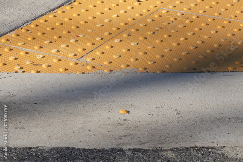 Quadro su tela Tactile paving or yellow bumps on a sidewalk that provide aid to those with visual impairment