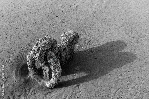Принти на полотні Monochrome view of a heavily encrusted mooring post half-buried in sandy beach a
