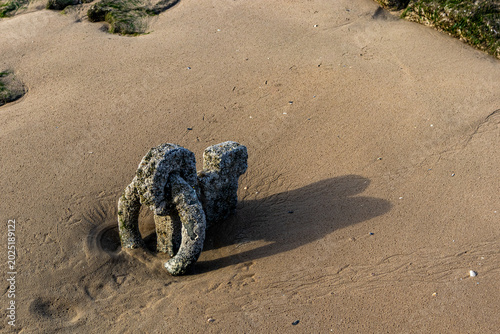 Canvas Print Heavily encrusted mooring post half-buried in sandy beach at low tide casting a