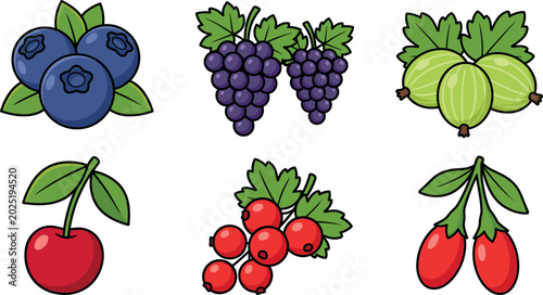 Fotografía Fresh Berry Fruit Vector Set with Blueberries Grapes Gooseberries Cherry Currant