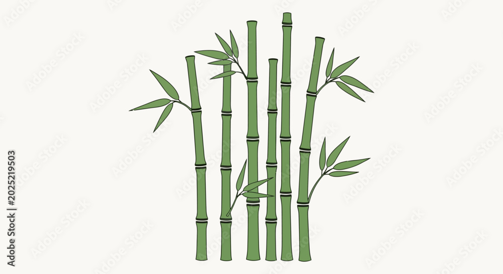 Obraz premium Minimalist green bamboo stalks illustration on white background