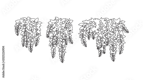Foto Set of hanging plant sketches isolated on transparent background for architectural drawing